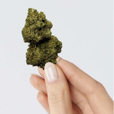 Fleur CBD Rainbow Kush 12% Greenhouse | Arômes Fruités | Kana Pharma