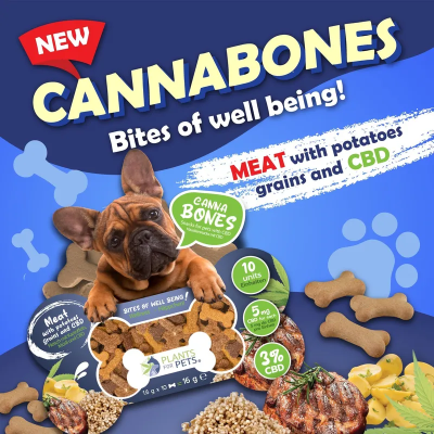 Friandises CBD Chien Cannabones 5mg | Plants For Pets | Kana Pharma