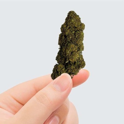 Fleur CBD Charlotte's Web +14% - Culture Premium Greenhouse | Kana Pharma