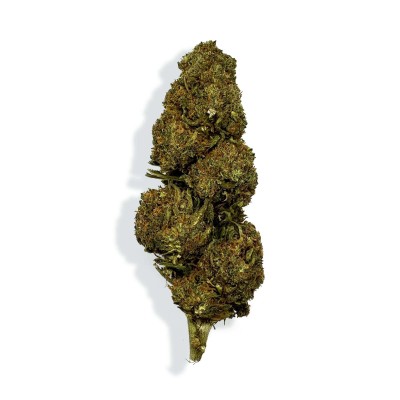 Fleur CBD Blueberry Premium >10% | Greenhouse Italie | Kana Pharma