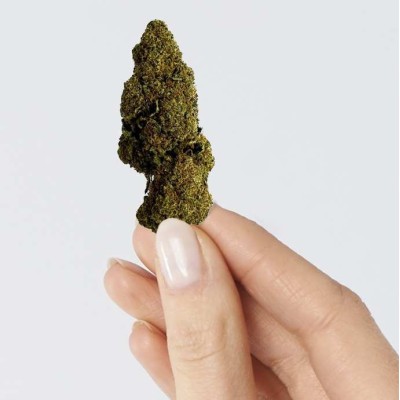 Fleur CBD Raspberry Haze +16% | Greenhouse Italienne | Kana Pharma