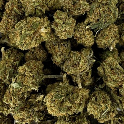 Small Bud Berries CBD Premium - Prix Grossiste | Kana Pharma