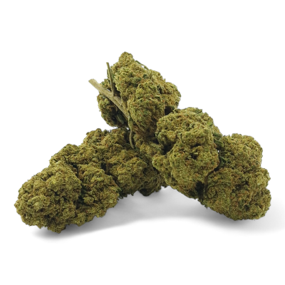 Fleur CBD Harlequin Indoor Premium Suisse | Kana Pharma