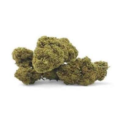 Fleur CBD San Francisco Premium | Culture Greenhouse Italienne | Kana Pharma