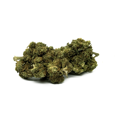 Fleur CBD Silver Haze 1kg Premium | Grossiste Kana Pharma