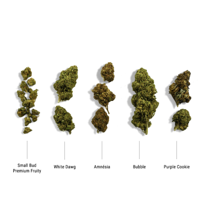 Coffret Découverte Fleurs CBD 5 Variétés 10g | Kana Pharma