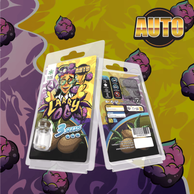 Graines Larry OG AUTO Plant of Life - 3 Graines Autofloraison THC 20%