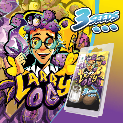 Graines Larry OG AUTO Plant of Life - 3 Graines Autofloraison THC 20%