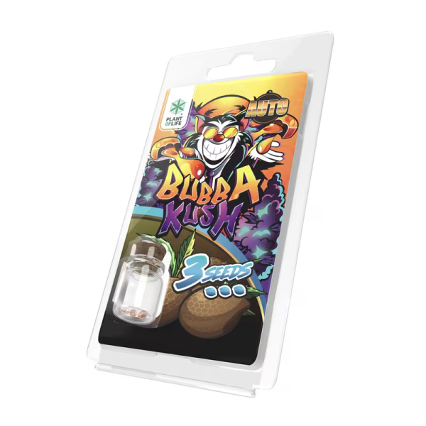 3 Graines Bubba Kush Auto | Plant Of Life