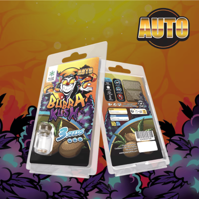 3 Graines Bubba Kush Auto Plant Of Life - Autofloraison Premium | Kana Pharma