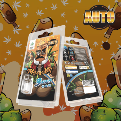 3 Graines Magnum AUTO Plant of Life - Hybride 50/50 THC 24% | Kana Pharma