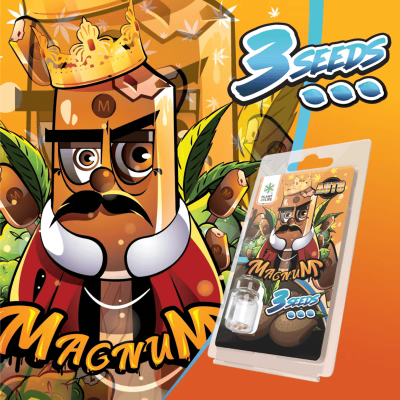 3 Graines Magnum AUTO Plant of Life - Hybride 50/50 THC 24% | Kana Pharma