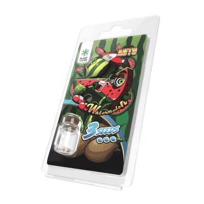 3 Graines Watermelon AUTO | Plant of Life