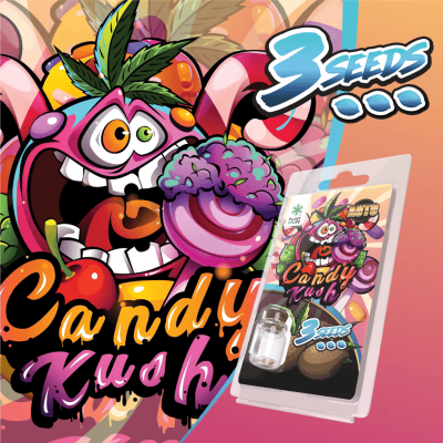 3 Graines Candy Kush AUTO | Plant of Life