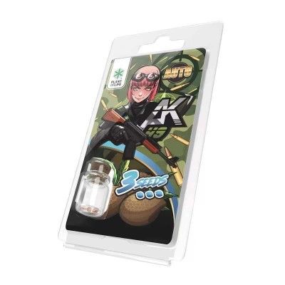 3 Graines AK49 AUTO | Plant of Life