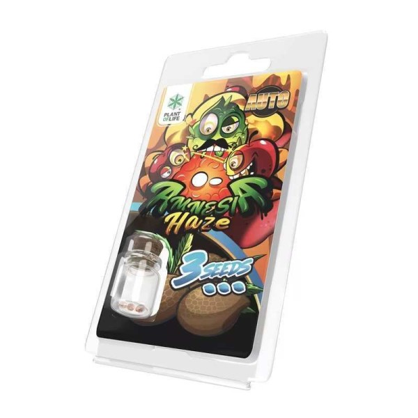 3 Graines Amnesia Haze AUTO | Plant of Life