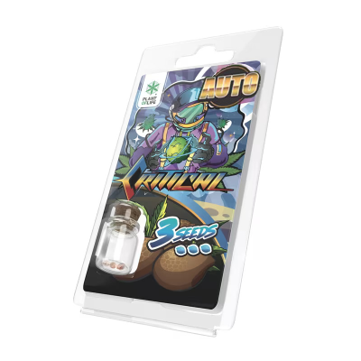 3 Graines Critical AUTO | Plant of Life