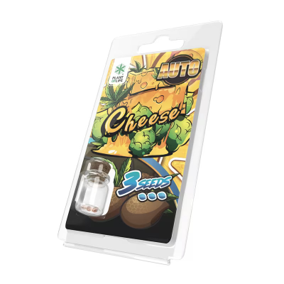 3 Graines Cheese AUTO | Plant of Life