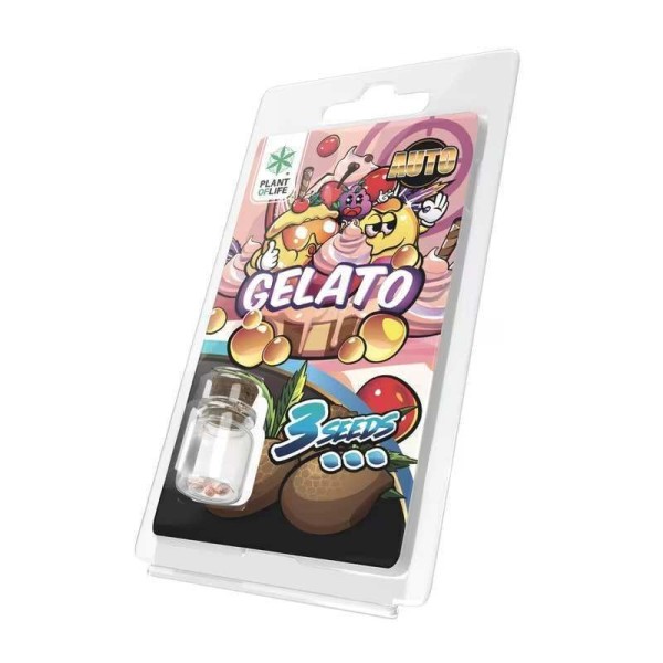 3 Graines Gelato AUTO | Plant of Life