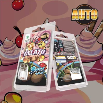 3 Graines Gelato AUTO | Plant of Life