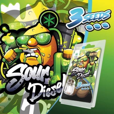 3 Graines Sour Diesel AUTO | Plant of Life