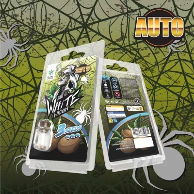 3 Graines White Widow AUTO | Plant of Life