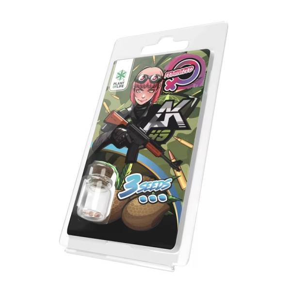 3 Graines AK49 FÉMINISÉE | Plant of Life