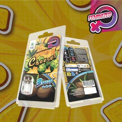 3 Graines Cheese FÉMINISÉE | Plant of Life