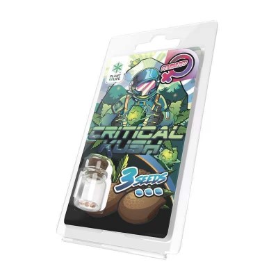 Graines Critical Kush Féminisées Plant of Life