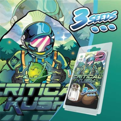 Graines Critical Kush Féminisées Plant of Life