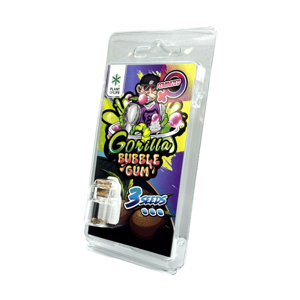 3 Graines Gorilla Bubblegum FÉMINISÉE | Plant of Life