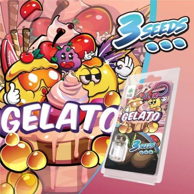 3 Graines Gelato FÉMINISÉE | Plant of Life
