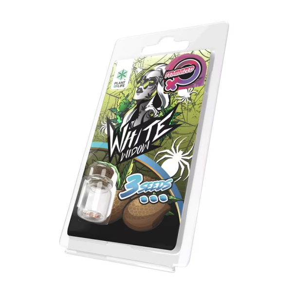 3 Graines White Widow FÉMINISÉE | Plant of Life