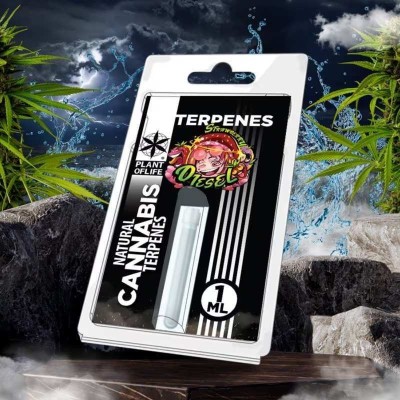 Terpène Strawberry Diesel 1ml Plant of Life | Arôme Premium CBD