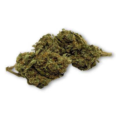 Fleur CBD Harlequin Indoor Suisse - Déstockage Prix Réduit | Kana Pharma