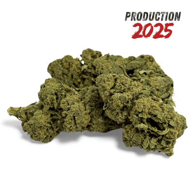 Fleur CBD Candy Kush Greenhouse 2025 | Qualité Premium Italienne