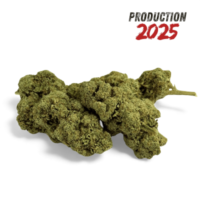 Fleur CBD Grape Gas Greenhouse 2025 | Arômes Fruités Premium | Kana Pharma