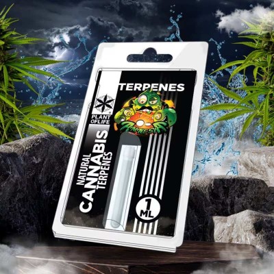 Terpènes Amnesia Haze 1ml Plant of Life | Arômes CBD Naturels Sans THC