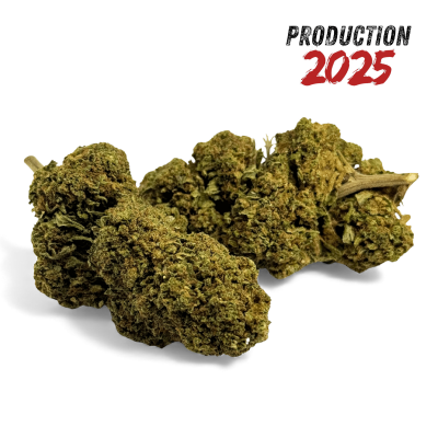 Fleur CBD Black Mamba Greenhouse Premium 2025 | Kana Pharma