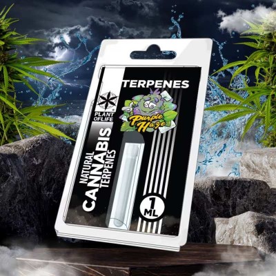 Terpène Purple Haze 1ml Plant of Life - Arôme Cannabis 100% Naturel