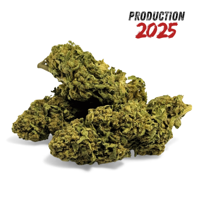 Fleur CBD Banana Smash Greenhouse 2025 | Qualité Premium Italienne | Kana Pharma