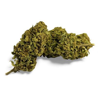 Fleur CBD Banana Smash Greenhouse 2025 | Qualité Premium Italienne | Kana Pharma