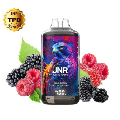 Puff Falcon-X Plus 28K JNR Blackberry Red Raspberry - 28000 Bouffées