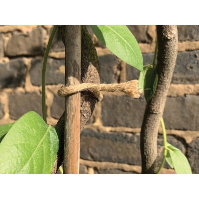 Lien Torsadé Jute Naturel 5m | Accessoire Jardinage Écologique | Kana Pharma
