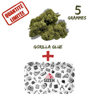 Pack CBD Gorilla Glue 8% + Plateau GIZEH Comic | Kana Pharma