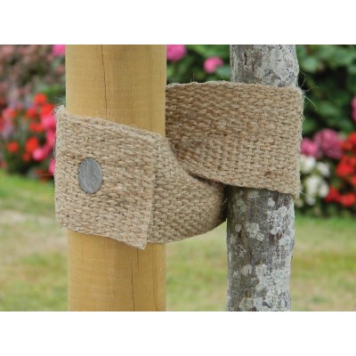 Attache d'arbre en toile naturelle jute 5m x 5cm | Sangle écologique biodégradable