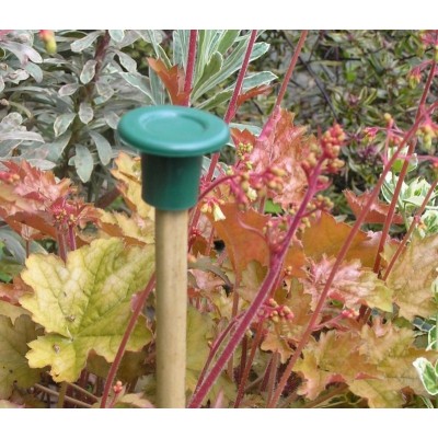 Capuchons de Canne Verts x10 - Protection Jardinage | Kana Pharma