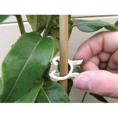 Pinces à plantes biodégradables 2 tailles - Lot de 25 clips écologiques