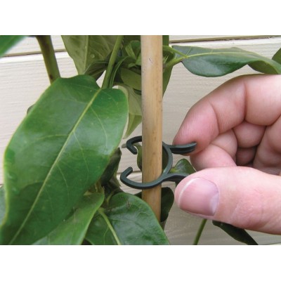 Lot 50 Pinces Plantes 2 Tailles - Clips Jardinage | Kana Pharma