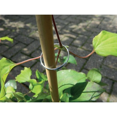 Anneaux de plantes galvanisés lot de 25 - Support tuteurage jardin